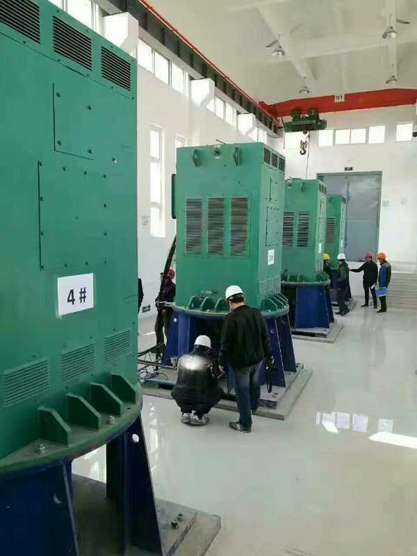 秦州某污水处理厂使用我厂的立式高压电机安装现场