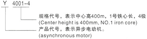 西安泰富西玛Y系列(H355-1000)高压秦州三相异步电机型号说明
